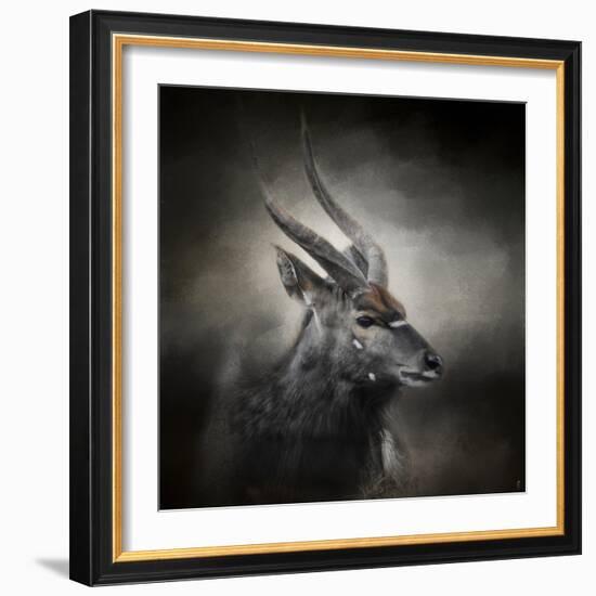 Waiting for the Storm Nyala Buck-Jai Johnson-Framed Giclee Print