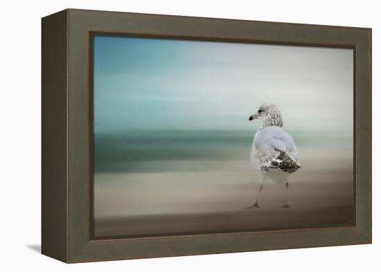 Waiting for the Tide-Jai Johnson-Framed Premier Image Canvas