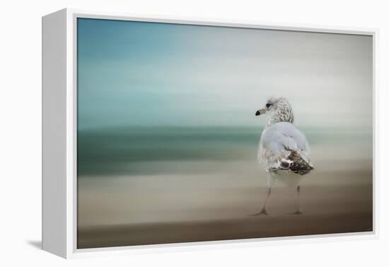 Waiting for the Tide-Jai Johnson-Framed Premier Image Canvas