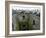 Waiting in Line To Kiss The Blarney Stone, Blarney Castle, Ireland-Cindy Miller Hopkins-Framed Photographic Print