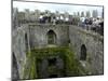 Waiting in Line To Kiss The Blarney Stone, Blarney Castle, Ireland-Cindy Miller Hopkins-Mounted Photographic Print