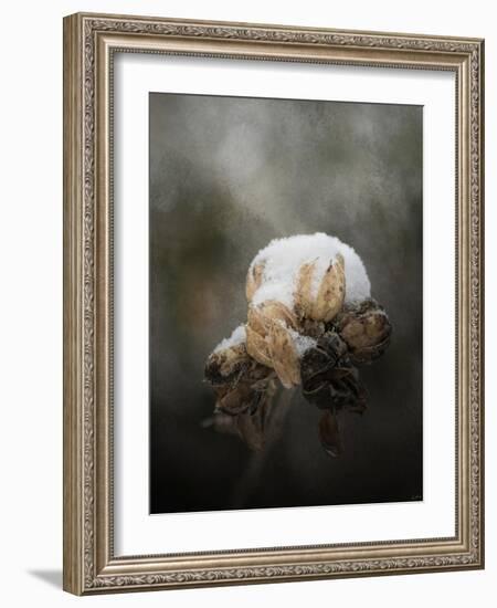 Waiting on Spring-Jai Johnson-Framed Giclee Print