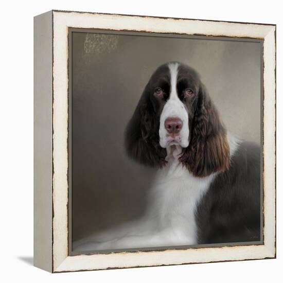 Waiting Patiently English Springer Spaniel-Jai Johnson-Framed Premier Image Canvas