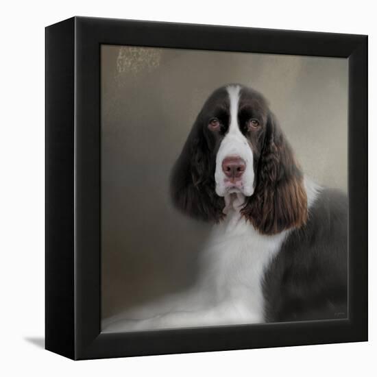 Waiting Patiently English Springer Spaniel-Jai Johnson-Framed Premier Image Canvas