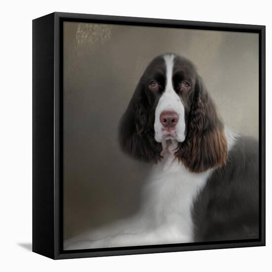 Waiting Patiently English Springer Spaniel-Jai Johnson-Framed Premier Image Canvas