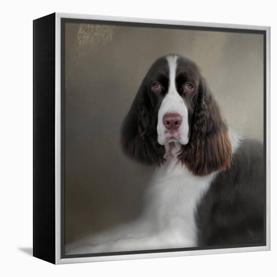 Waiting Patiently English Springer Spaniel-Jai Johnson-Framed Premier Image Canvas