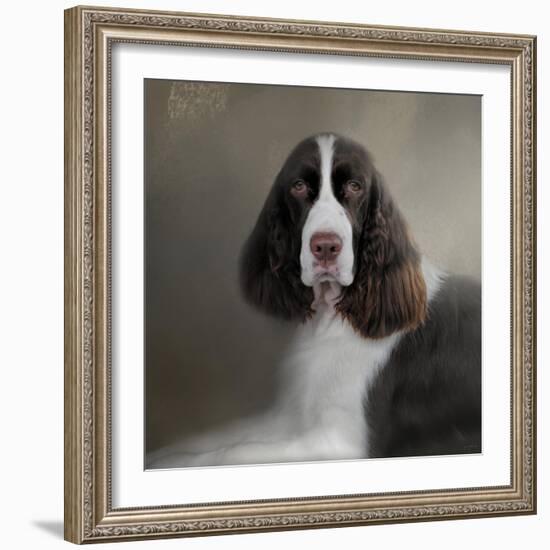 Waiting Patiently English Springer Spaniel-Jai Johnson-Framed Giclee Print