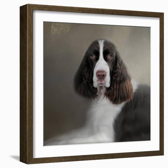 Waiting Patiently English Springer Spaniel-Jai Johnson-Framed Giclee Print