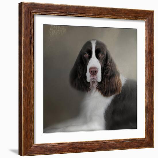 Waiting Patiently English Springer Spaniel-Jai Johnson-Framed Giclee Print