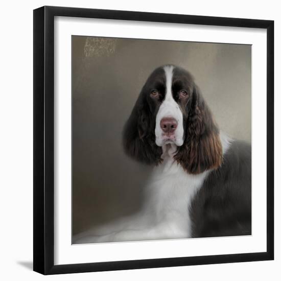 Waiting Patiently English Springer Spaniel-Jai Johnson-Framed Giclee Print