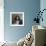 Waiting Patiently English Springer Spaniel-Jai Johnson-Framed Giclee Print displayed on a wall