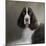 Waiting Patiently English Springer Spaniel-Jai Johnson-Mounted Giclee Print