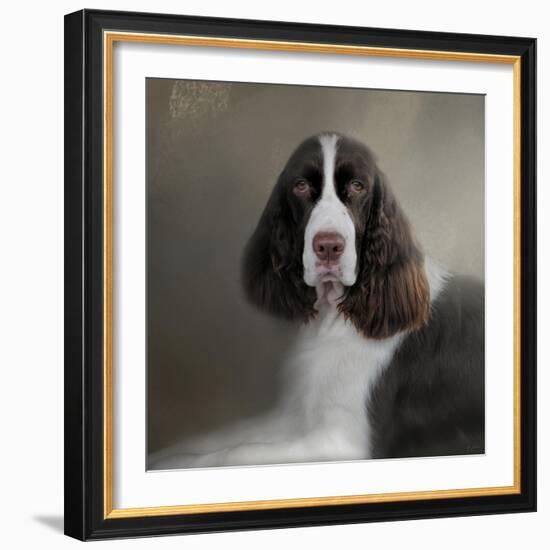 Waiting Patiently English Springer Spaniel-Jai Johnson-Framed Giclee Print