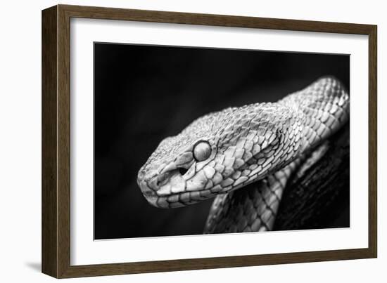 Waiting Patiently-Antonyus Bunjamin (Abe)-Framed Giclee Print