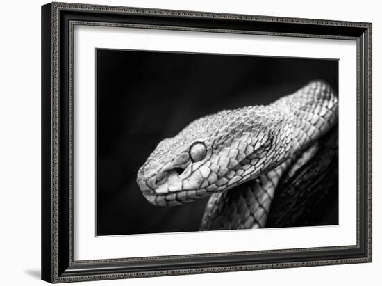 Waiting Patiently-Antonyus Bunjamin (Abe)-Framed Giclee Print