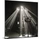 Premium Photographic Print