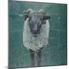 Waiting Sheep, 2000-Peter Wilson-Mounted Giclee Print