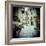 Waiting to Go-Craig Roberts-Framed Photographic Print