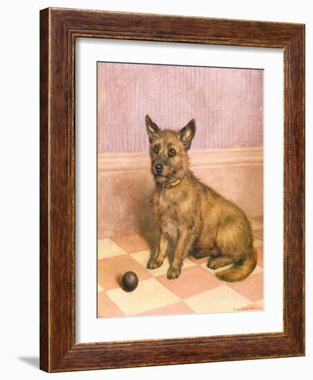 Waiting to Play, a Cairn Terrier with a Ball-Frank Paton-Framed Giclee Print