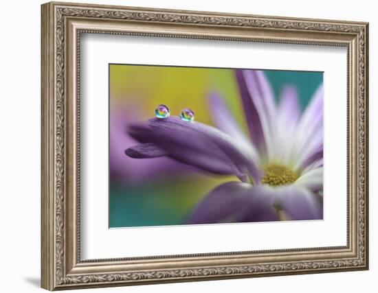 Waiting together-Heidi Westum-Framed Photographic Print