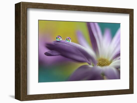 Waiting together-Heidi Westum-Framed Photographic Print