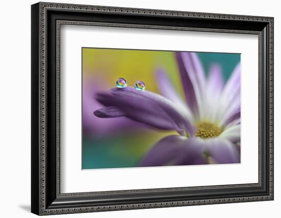 Waiting together-Heidi Westum-Framed Photographic Print