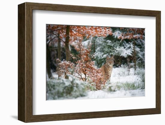 Waiting-Michaela Firesova-Framed Photographic Print