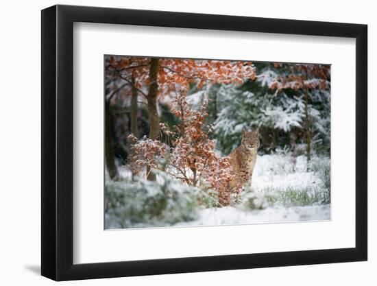 Waiting-Michaela Firesova-Framed Photographic Print