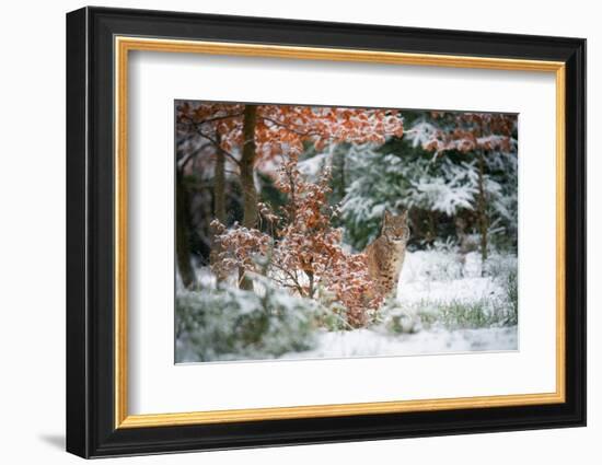 Waiting-Michaela Firesova-Framed Photographic Print