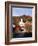 Waits River, View of Church and Barn in Autumn, Northeast Kingdom, Vermont, USA-Walter Bibikow-Framed Photographic Print