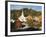 Waits River, View of Church and Barn, Northeast Kingdom, Vermont, USA-Walter Bibikow-Framed Photographic Print