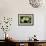 Wake Robin (Trillium Grandiflorum)-Bob Gibbons-Framed Photographic Print displayed on a wall