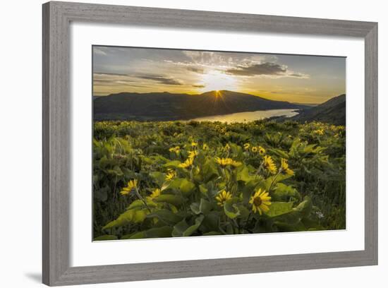 Wake Up Call-Danny Head-Framed Photographic Print