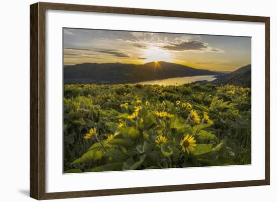 Wake Up Call-Danny Head-Framed Photographic Print