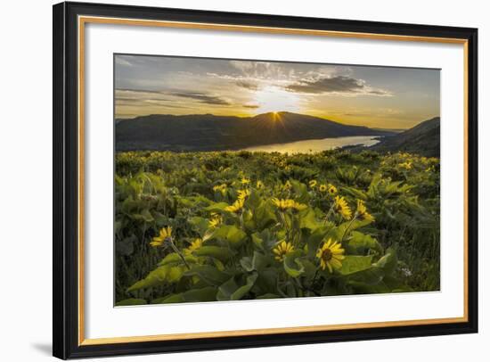 Wake Up Call-Danny Head-Framed Photographic Print