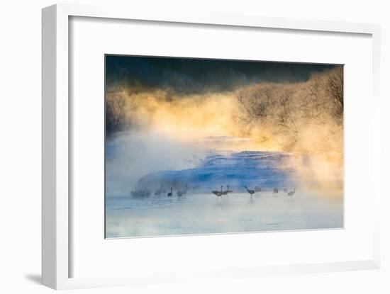 Wake-Up Dance-C. Mei-Framed Photographic Print