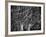 Wake Up-Bruno Abarco-Framed Photographic Print