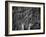 Wake Up-Bruno Abarco-Framed Photographic Print