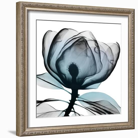 Waking Midnight 1-Albert Koetsier-Framed Photographic Print