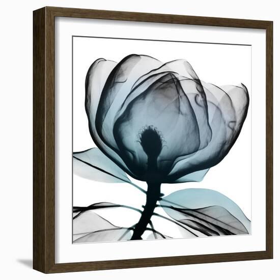 Waking Midnight 1-Albert Koetsier-Framed Photographic Print