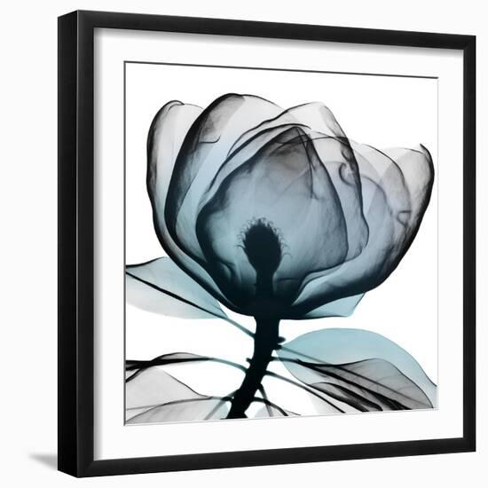 Waking Midnight 1-Albert Koetsier-Framed Photographic Print