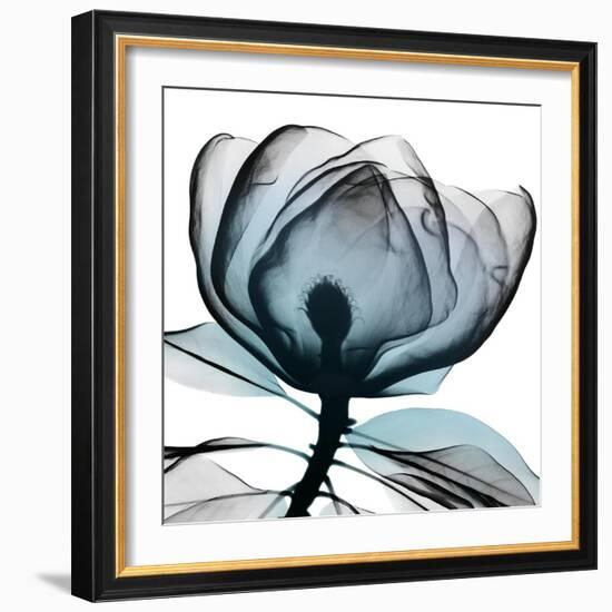 Waking Midnight 1-Albert Koetsier-Framed Photographic Print