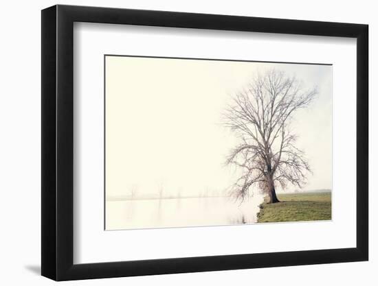 Waking Up Under a White Veiled Dawn-Jacob Berghoef-Framed Photographic Print