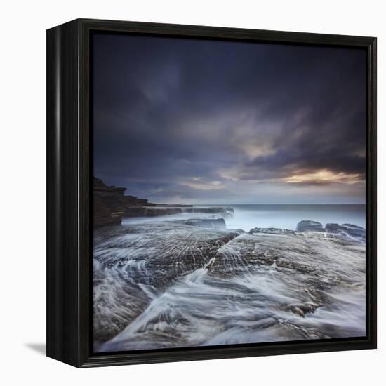 Waking Up-Yan Zhang-Framed Premier Image Canvas