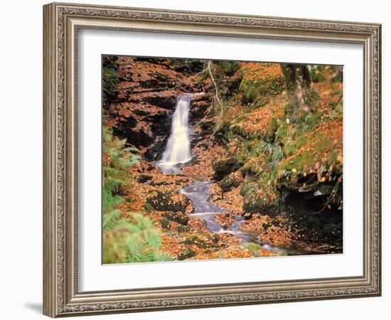 Wald, Bach, Herbst, AuvŸen, Wildbach, Wasserfall, Wasser-Thonig-Framed Photographic Print