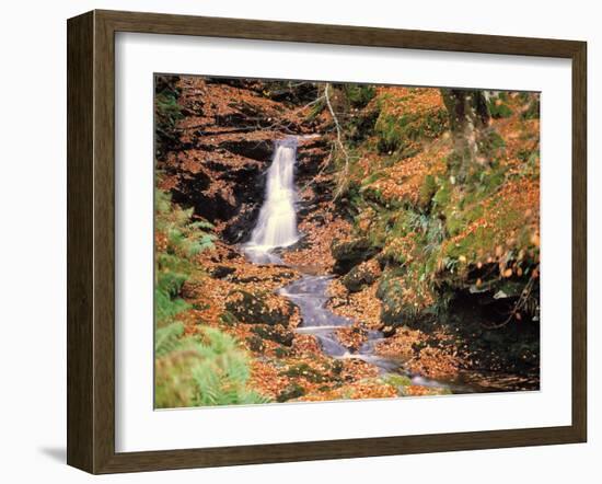 Wald, Bach, Herbst, AuvŸen, Wildbach, Wasserfall, Wasser-Thonig-Framed Photographic Print