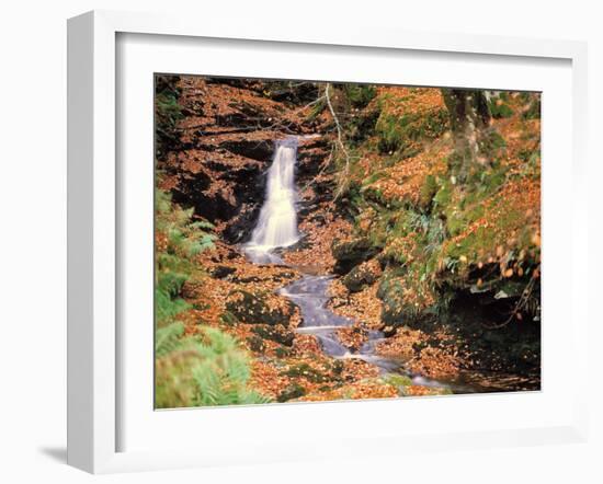 Wald, Bach, Herbst, AuvŸen, Wildbach, Wasserfall, Wasser-Thonig-Framed Photographic Print