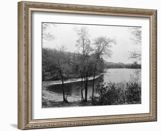 Walden Pond from Henry David Thoreau's Hut-null-Framed Giclee Print