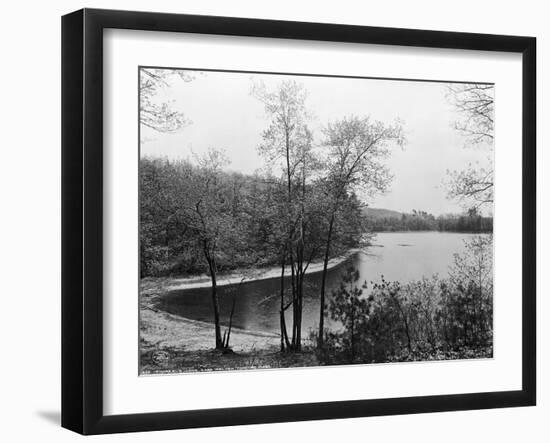 Walden Pond from Henry David Thoreau's Hut-null-Framed Giclee Print
