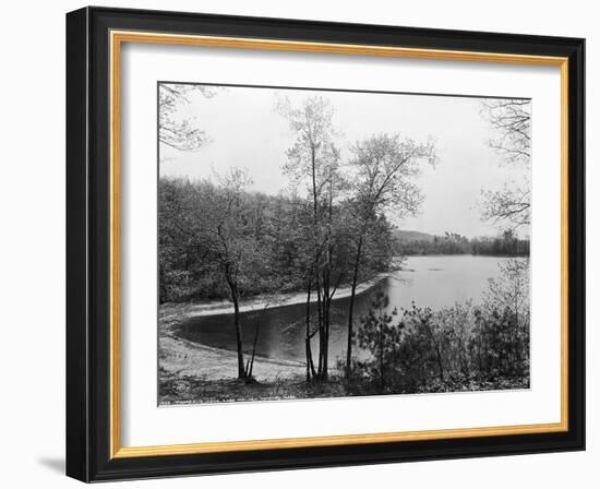 Walden Pond from Henry David Thoreau's Hut-null-Framed Giclee Print